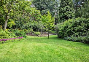 Optimiser l'expérience du jardin à Deux-Jumeaux