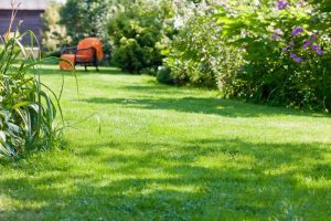 travaux jardin et paysage Deux-Jumeaux